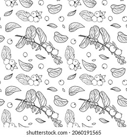 Seamless pattern of branche of snowberry (Symphoricarpos albus) with berries, leafs. Black outline hand draw vector illustration.