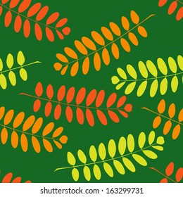 Seamless pattern with branches of a acacia