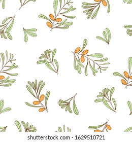 Seamless pattern with branches of argania for textile, wallpapers, gift wrap, covers and scrapbook. Vector.