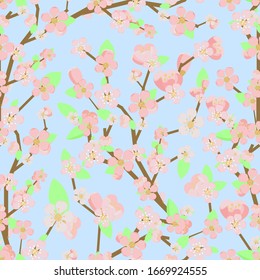 Patrón inexpresivo de ramas florecen sakura o cerezos en el fondo azul del cielo. Ilustración brillante en estilo plano sobre el tema de primavera. 