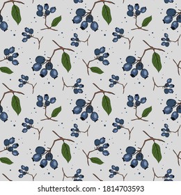 Seamless pattern with branches of blueberries on white background. Perfect for wallpaper, wrapping paper, textile. Vector illustration