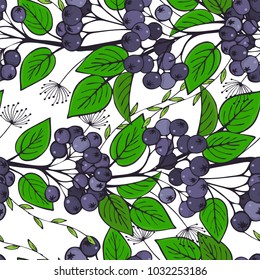 seamless pattern with branches of chokeberry. ornament of bunches of aronia.