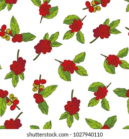 seamless pattern of the branches coffee tree hand-drawn