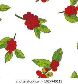 seamless pattern of the branches coffee tree hand-drawn