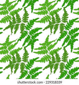 Seamless pattern with branches of fern on a white background. Vector eps 10.