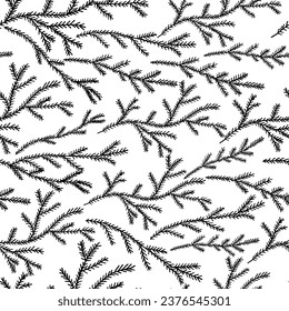 Seamless pattern, branches of fir tree in hand drawn style. Vector illustration