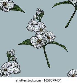 Seamless pattern with branches and jasmine flowers. Vector illustration for designing posters, cards, prints, wallpaper, fabric, textile, gift paper