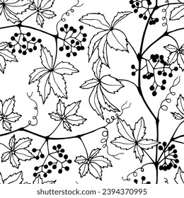 Nahtlose Muster von Ästen, Blättern, Beeren von wilden Trauben. Vektorgrafik eps10.
