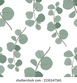 Seamless pattern with branches and leaves of eucalyptus  on white background for textile.