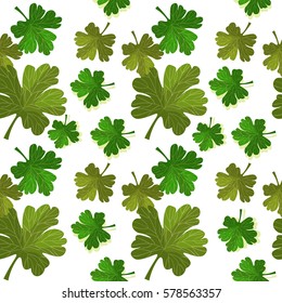 seamless pattern of branches with leaves gooseberry  vector illustration