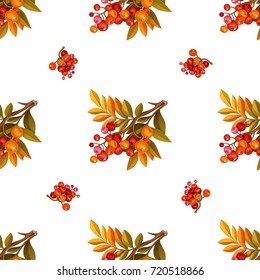 Seamless pattern from branches with leaves and red berries on white background