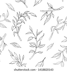Seamless pattern with branches outlines. Hand drawn decorative elements. Vector illustration