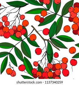 seamless pattern with branches of rowan
