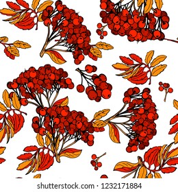 Seamless pattern with branches of rowan. Great for packaging, background greeting cards, fabric print. Vector.