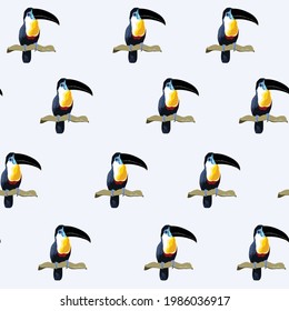 Seamless pattern. Brazil summer abstract toucan bird illustration, light blue background.