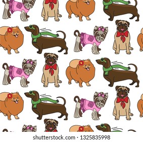 Seamless pattern of breeding dogs . Spitz Pomeranian. Yorkshire Terrier. Dachshund. Pug. Set breeds. Vector illustration.