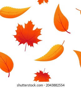 Seamless pattern with bright autumn leaves on white background. Autumn palette. Vector illustration