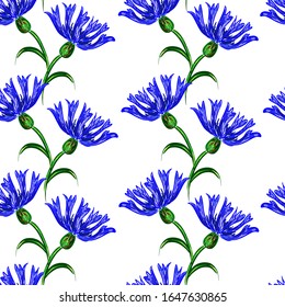 Seamless pattern with bright blue cornflowers on a white background. Suitable for fabric, t-shirts, bed linen, packaging, napkins, postcards, backgrounds, knitwear, textiles.