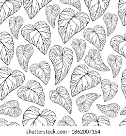 Seamless pattern with bright caladium leaves. The leaves of the caladium plant. Hand drawn elegance vector illustration for natural design. Hand drawn big set of calladium leaves.