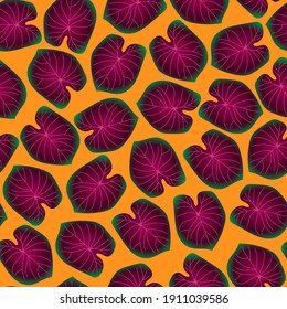 Seamless pattern with bright caladium leaves. The leaves of the caladium plant. 