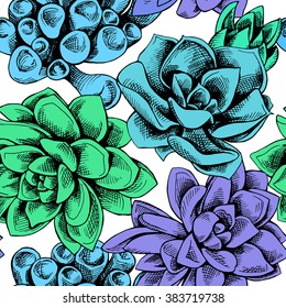 Seamless pattern of a bright color succulent plants on white background. Vector illustration. 