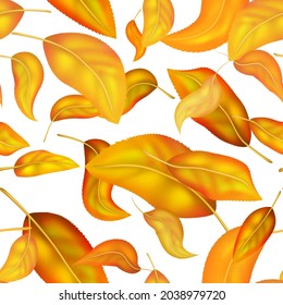  Seamless pattern bright colorful autumn foliage isolated on white background. Graphic design autumn symbol. Red orange yellow dry autumn leaves. Autumn foliage seasonal background. Vector