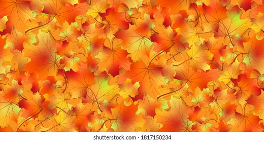 Seamless pattern bright colorful maple autumn foliage isolated. Graphic design autumn symbol. Red orange yellow dry autumn leaves. Autumn foliage seasonal background. Vector illustration