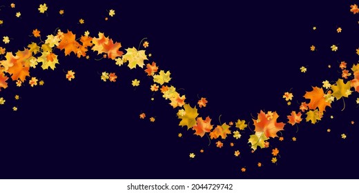Patrón sin foco colorido de arce colorido brillante follaje otoñal aislado sobre fondo azul oscuro. Símbolo de diseño gráfico de otoño. Hojas secas de otoño rojas amarillas. Fondo estacional otoñal. Vector