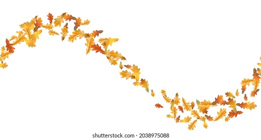  Seamless pattern bright colorful oak autumn foliage isolated on white background. Graphic design autumn symbol. Red orange yellow dry autumn leaves. Autumn foliage seasonal background. Vector