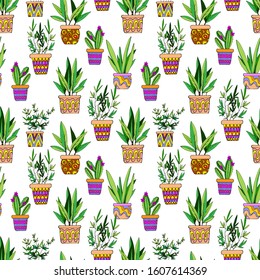 seamless pattern in bright colors, cacti and houseplants in pots, wallpaper ornament, wrapping paper, book design