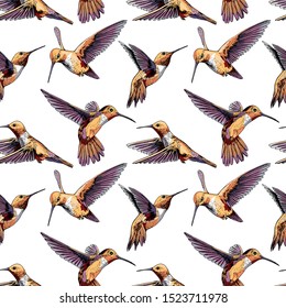 Seamless pattern. Bright Exotic Tropical Hummingbirds. Textile composition, hand drawn style print. Vector illustration.