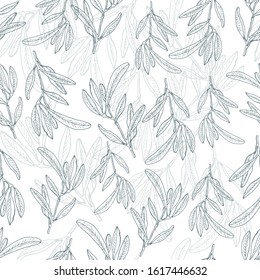 Seamless pattern of bright flowers and leaves on a white background. Bright wallpaper with medicinal flowers.Set of medicinal herbs and leaves.Textiles with summer herbs.