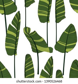 Seamless pattern with bright green line bananas leaves on white background. 