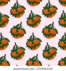 Seamless pattern with bright hand drawn pyracantha firethorn berry branches on pink background autumn harvest botanical texture for wallpaper textile and packaging design