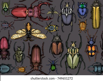 531,905 Insects pattern Images, Stock Photos & Vectors | Shutterstock