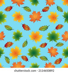 Seamless pattern with bright multicolored maple and oak leaves on an autumn theme
