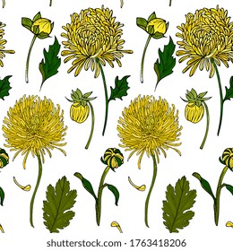 seamless pattern with with bright yellow flowers . Floral background with  chrysanthemums and 
aster. Hand drawing. Design for packaging, fabric, wrappers.