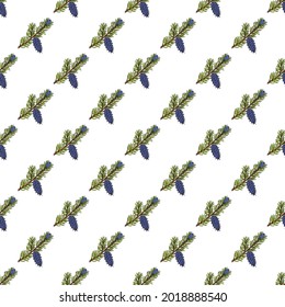 Seamless pattern with Bristlecone pine, Pinus longaeva. Vector illustration