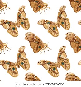 Seamless pattern with brown Atlas moth. Nocturnal tropical butterfly. Stock vector illustration on a white background.
