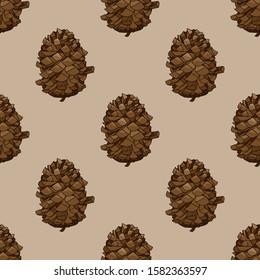 Seamless pattern of brown fir cone isolated. Vector stock illustration for print or web design