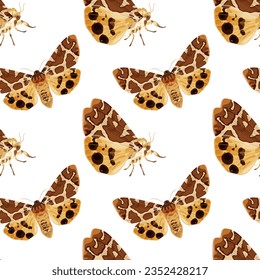 Seamless pattern with brown moth. Nocturnal tropical butterfly. Stock vector illustration on a white background.