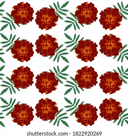 Seamless pattern with brown Tagetes patula (French marigold) flowers and green leaves on white background. Endless colorful floral texture. Vector illustration.
