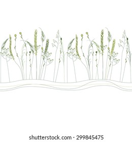 Seamless pattern brush with herbs and wild flowers isolated on white. Endless horizontal texture for your design