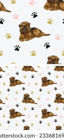 Seamless pattern with brussels griffon and paws, holiday texture. Square format, t-shirt, poster, packaging, textile, socks, textile, fabric, decoration, wrapping paper. Trendy hand-drawn dogs.