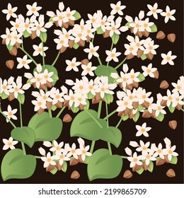 Nahtloses Muster Buckweizen-Landwirtschaftspflanze mit Blüten und grünem Stammkorn, Vektorgrafik auf braunem Hintergrund