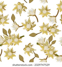 A seamless pattern of Bullet wood flower. vector illustration. flower background.