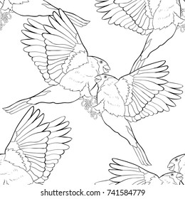 seamless pattern bullfinch bird couple coloring winter red belly. vector illustration