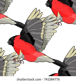 seamless pattern bullfinch bird winter red belly. vector illustration
