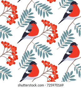 Seamless pattern with bullfinch on rowan branch isolated on white background. Seasonal natural pattern with rowan berries. Vector illustration.