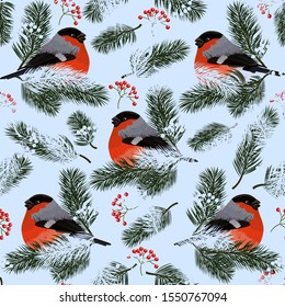 Seamless pattern with bullfinches, rowan berries and fir branches. Vector illustration on blue background.